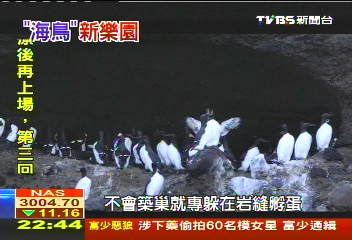 日本海鳥樂園　罕見人鳥共生之島