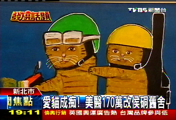 〈獨家〉愛貓成痴! 美醫170萬改侯硐舊舍