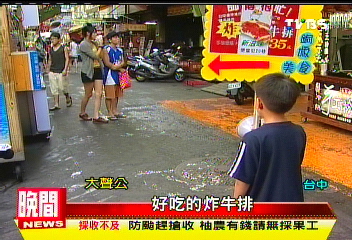 3兄妹站路口舉牌招攬　民質疑遭虐