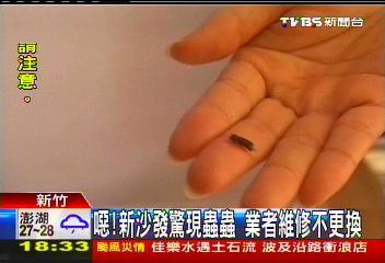 噁！新沙發驚現蟲蟲　業者維修不更換
