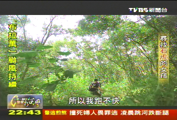 【一步一腳印】尋找石虎的女孩　動物保育刻不容緩！