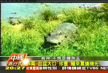 【中國進行式】富貴險中求!養大鱷大富 轉型故事