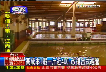 〈獨家〉高成本!蝦1斤近400 改複合式經營
