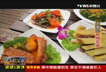 【一步一腳印】豐收的幸福人生　夫妻的有機菜園