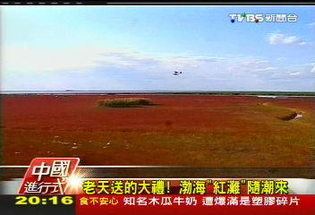 【中國進行式】大陸「紅灘」秋燃燒　迎風搖人民幣
