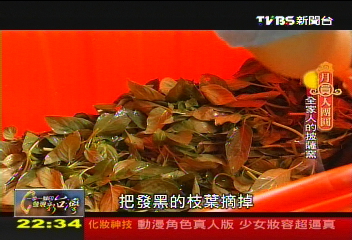 【一步一腳印】用心去做　全家人的披薩屋