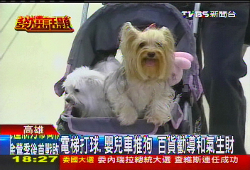 打羽球、嬰兒車推狗　百貨苦笑先勸導