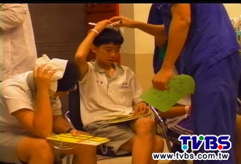 虎頭蜂校園築巢　螫傷1工友15學生