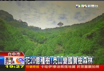花20億種樹 禿山變國寶樹森林