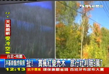 扯!「賞楓紅變禿木」 旅行社判賠9萬7