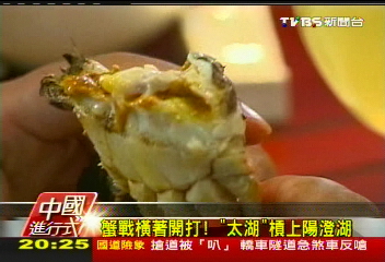 【中國進行式】「讓利」7500萬!陽澄湖蟹苗技術 輸台