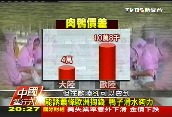 【中國進行式】單日15萬隻「飛」歐陸 拚外銷使勁