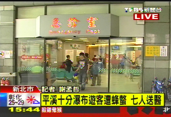 平溪十分瀑布虎頭蜂螫人　7人受傷送醫