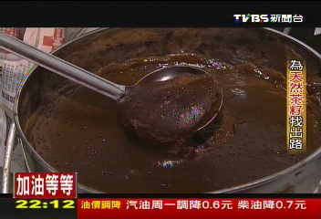 【一步一腳印】苦茶樹教我的事