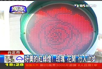 〈獨家〉好美的紅綠燈! 玫瑰「花開」行人止步