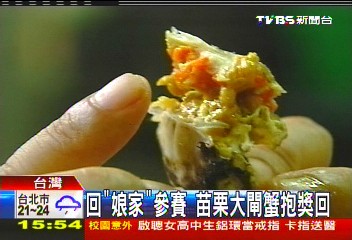 回「娘家」參賽 苗栗大閘蟹抱獎回
