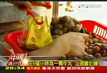【中國進行式】從小拚大！「像桌球能跳」肉丸　挑戰
