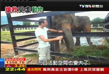 【悠遊熱帶嶼】老虎竟被餵餿飯! 搶救「恐怖動物園」