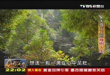 【一步一腳印】大雪山上的種樹人生
