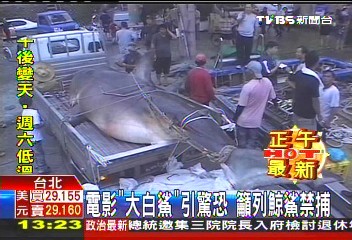 電影「大白鯊」引驚恐 籲列鯨鯊禁捕