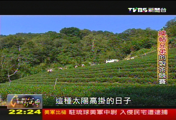 【一步一腳印】換帖兄弟的製茶競賽