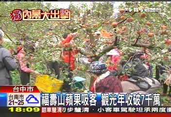 〈獨家〉拚觀光!福壽山蘋果農場 年收近億
