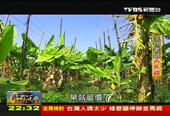 【一步一腳印】有機香蕉雞