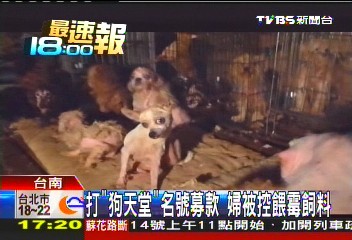 打「狗天堂」名號募款 婦被控餵霉飼料