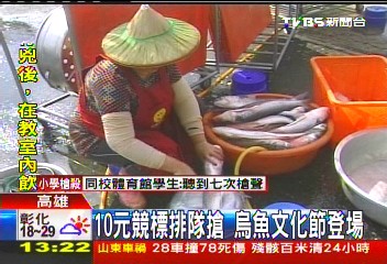 10元競標排隊搶　烏魚文化節登場