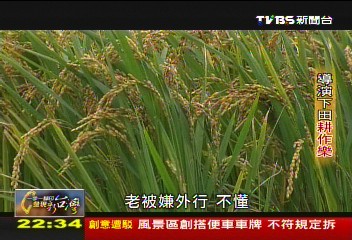 【一步一腳印】導演築夢一畝田
