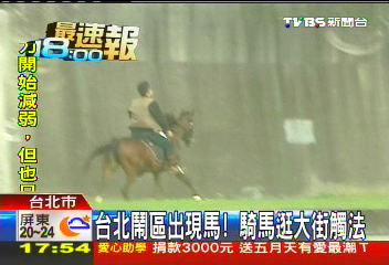 〈獨家〉台北鬧區出現馬　騎馬逛大街觸法