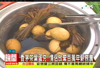 香茅茶葉蛋夯! 情侶放棄百萬年薪務農