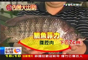 〈獨家〉台灣鯛取代鰻魚!價差5倍 口感難辨