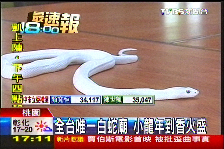 全台唯一白蛇廟 小龍年到香火盛
