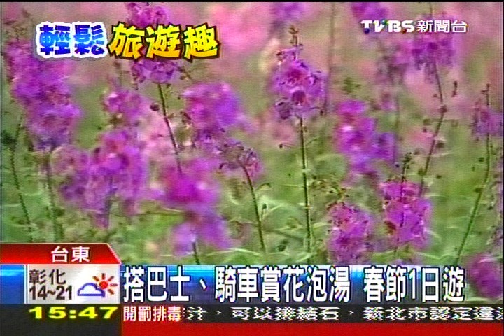 搭巴士、騎車賞花泡湯　春節1日遊，業者？