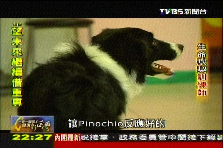 【一步一腳印】給狗狗的愛的教育