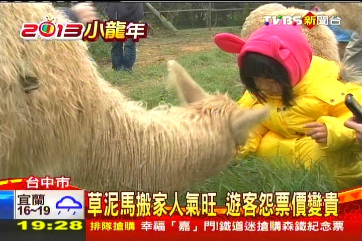草泥馬搬家人氣旺　遊客怨票價變貴
