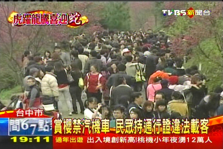 賞櫻禁車 民眾持通行證違法載客