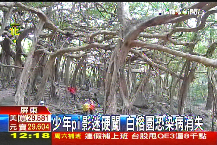 「少年Pi」影迷硬闖 白榕園恐染病消失
