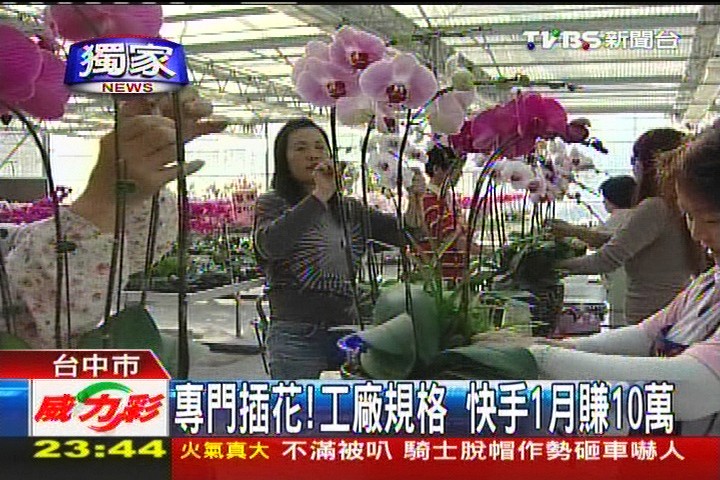 〈獨家〉專門插花！工廠規格　快手1月賺10萬，業者？