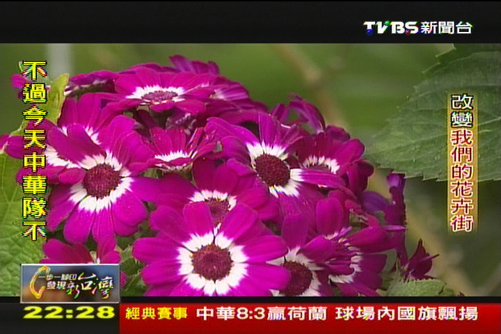 【一步一腳印】改變我們的花卉街