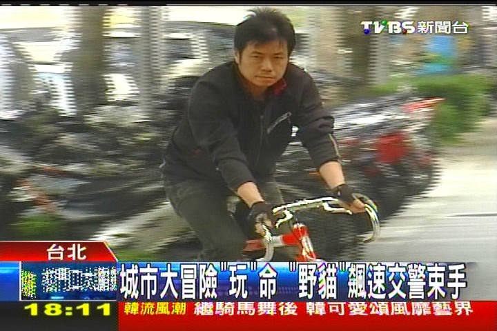 一路「衝」 野貓賽源自信差穿梭車陣