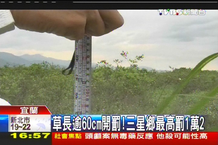 草長逾60cm開罰! 三星鄉最高罰1萬2