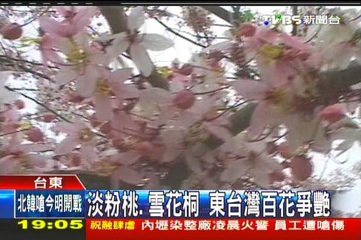 連假遊後山!宜花東住房 高達9成