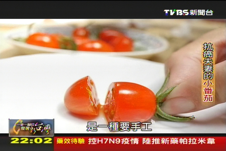【一步一腳印】抗癌夫妻小番茄