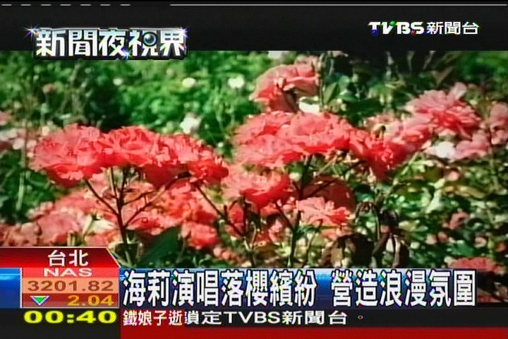 海莉演唱落櫻繽紛 營造浪漫氛圍