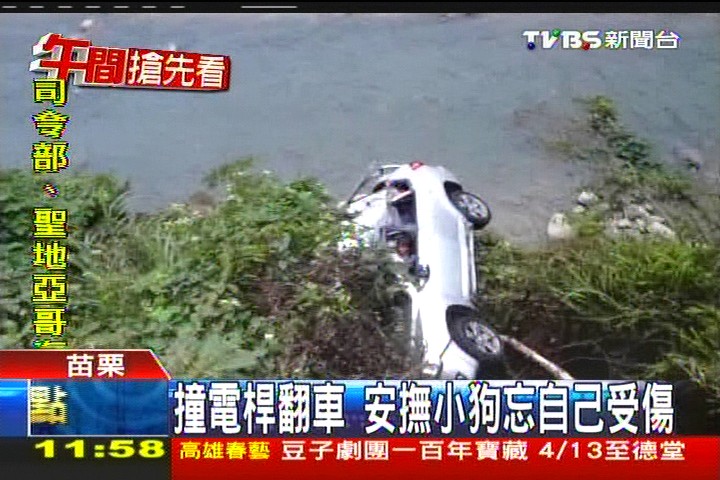 撞電桿翻車 安撫小狗忘自己受傷