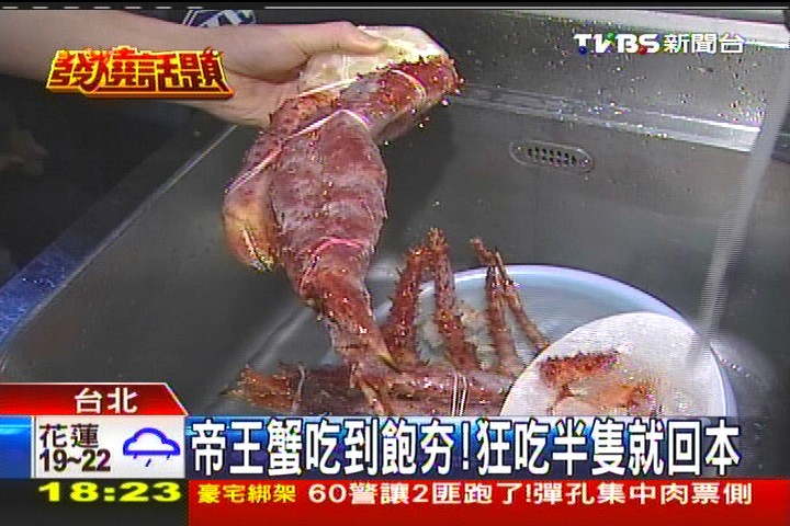 〈獨家〉帝王蟹吃到飽夯！　狂吃半隻就回本，業者？
