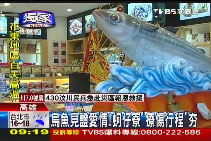 〈獨家〉烏魚見證愛情！　蚵仔寮「療傷行程」夯