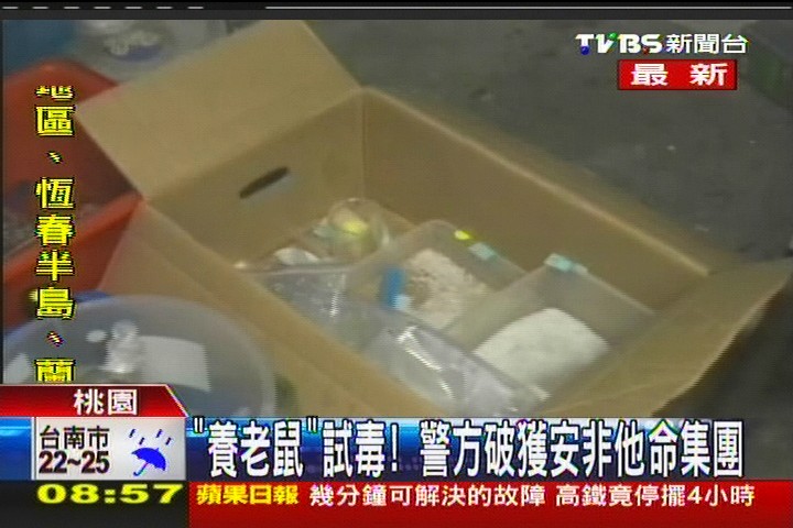 「養老鼠」試毒！　警方破獲安非他命集團